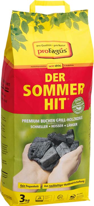 Image du produit ProFagus Holzkohle Sommerhit 3 kg (3 kg)