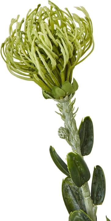 Immagine prodotto Hill Interiors Kunstblume (61 cm)