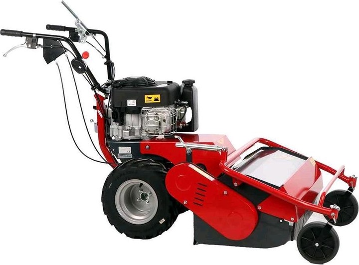 Actual product image Benassi TR 600 Hydro Professional hammer lawn mower B and S 3105E (Petrol)