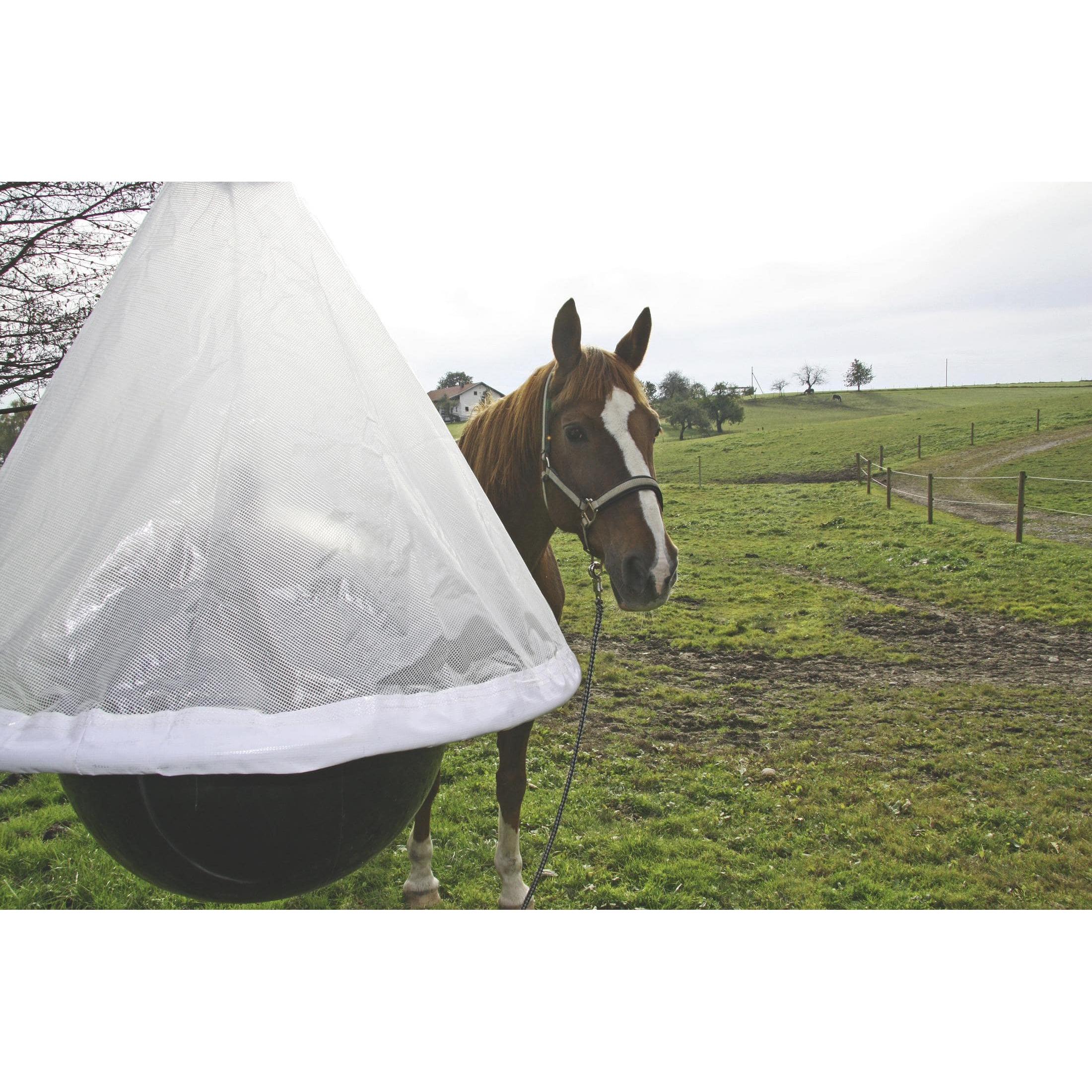 Thumbnail - Kerbl, Tierfalle, Bremsenfalle TaonX