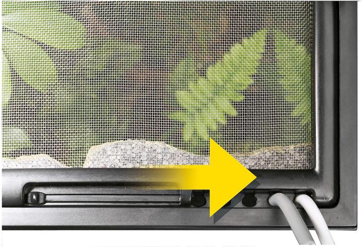 Actual product image Exo Terra Terrarium Mini