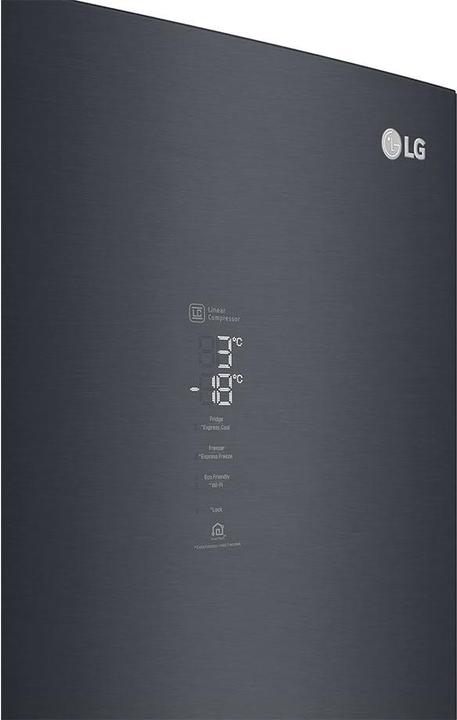Actual product image LG GBB92MCABP (384 l)