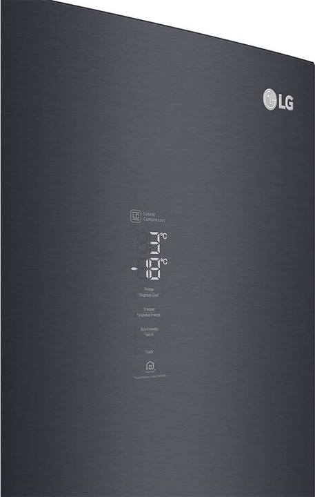 Actual product image LG GBB92MCABP (384 l)