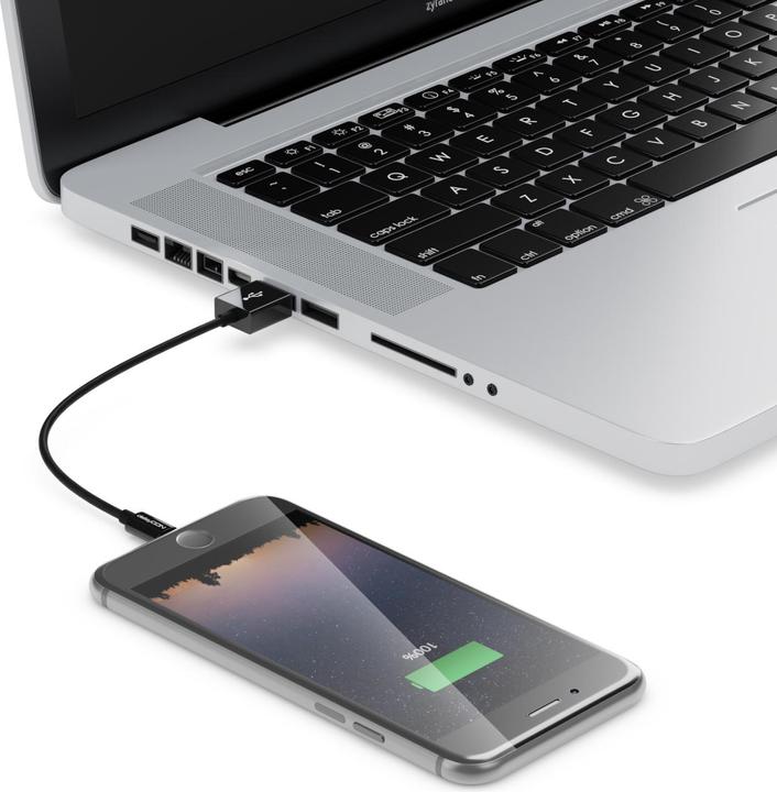 Produktbild deleyCON Lightning auf USB (0.15 m, USB 2.0)