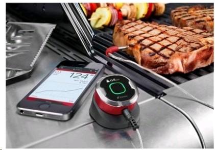 Actual product image Weber iGrill mini