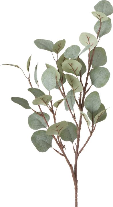 Boltze Home Eukalyptus (69 cm)