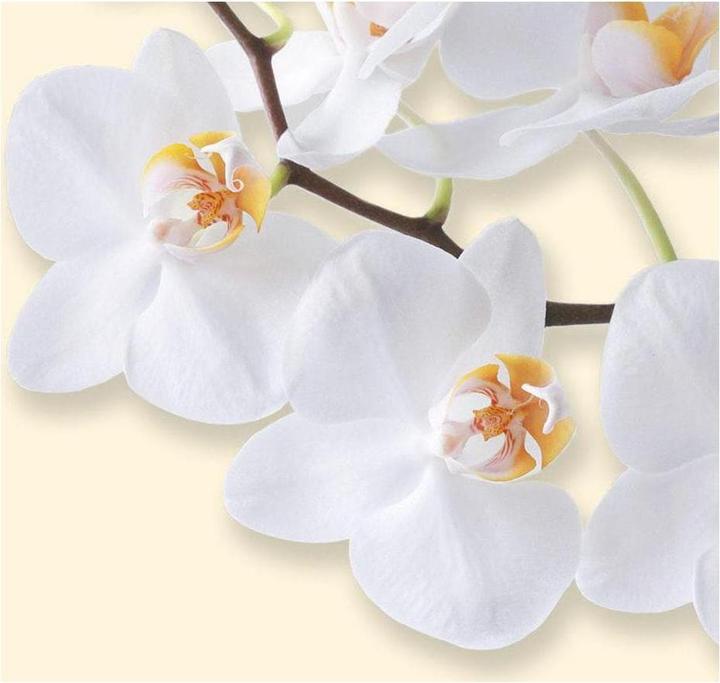 Actual product image Sigel Design paper (90 g/m², 50 x)