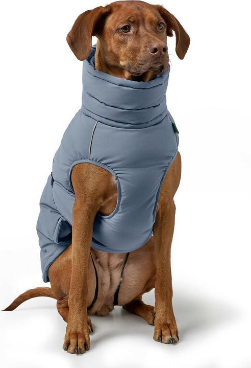 Actual product image Hunter Dogcoat Paxson 45, blue - (203463) (45, Dog coat)