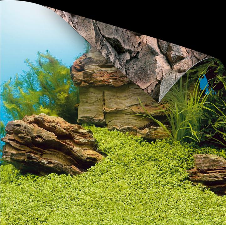 Actual product image Juwel Aquarium Photo back cover (Rear panel, other items)