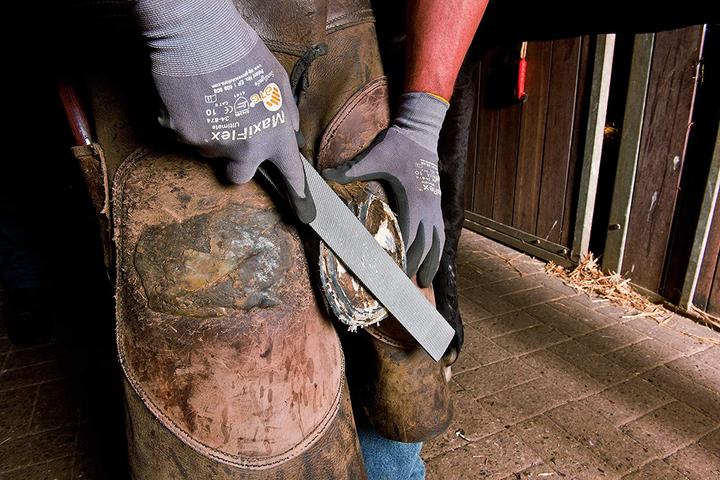 Immagine prodotto Pferd Pialla per zoccoli a testa piatta 350 mm Piallatura e lavorazione degli zoccoli (350 mm)