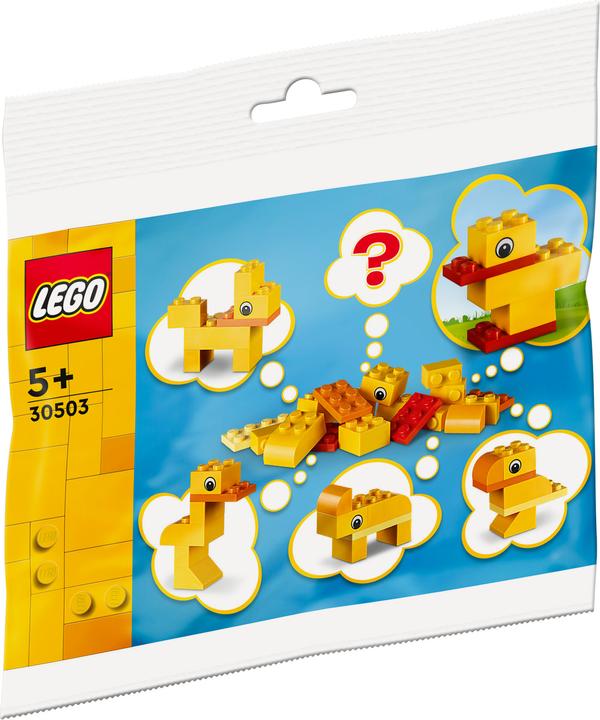 Immagine prodotto LEGO Edificio libero: Animali - Decidi tu! (30503, LEGO Iconic)