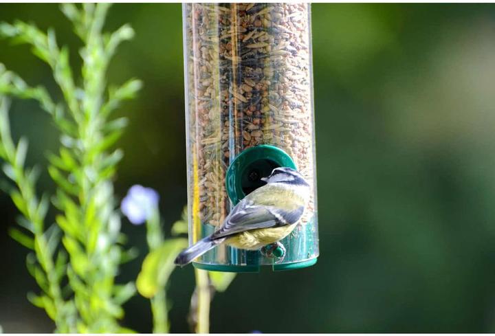 Image du produit Dobar Futtersäule dobar aus Kunststoff 7x23 cm grün