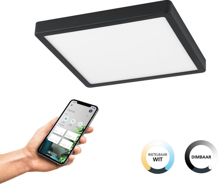 Image du produit EGLO Fueva (2500 lm)