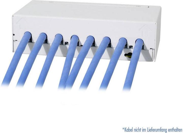 Produktbild LogiLink Patch Panel 8 Port mit 8 Cat.6A Keystone Modulen