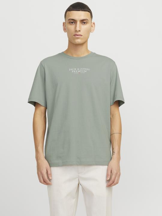 Produktbild Jack & Jones Jprbluarchie Ss Tee Crew Neck Noos (M)