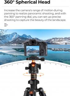 Actual product image K&F Concept K254C2+BH-36L (Carbon)