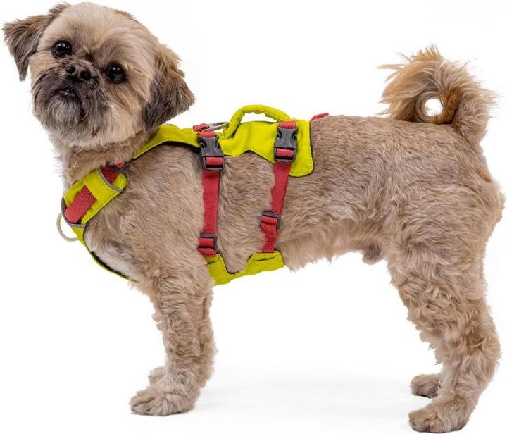 Image du produit Ruffwear Flagline (L, XL, Chien, Général)