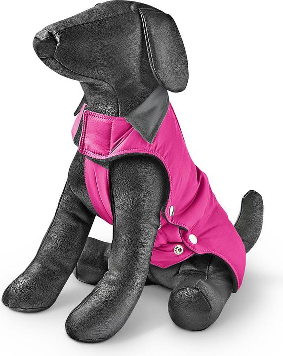 Dog clothing
