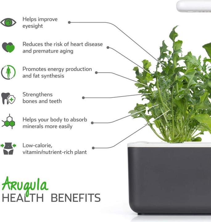 Actual product image Click and Grow Arugula (Vegetable seeds)