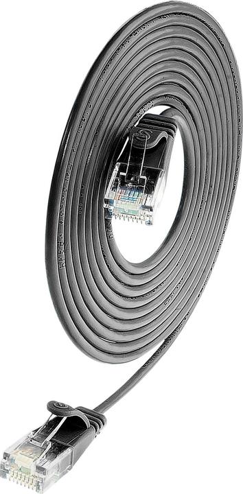 Produktbild Lightwin Netzwerkkabel (UTP, CAT6, 0.50 m)