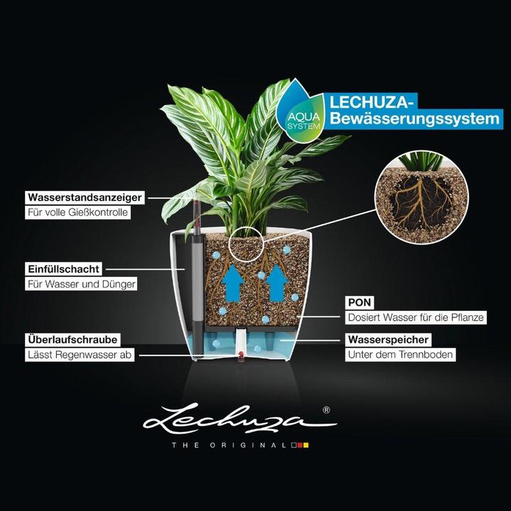 Image du produit Lechuza Classico Color (27.50 x 26 cm)