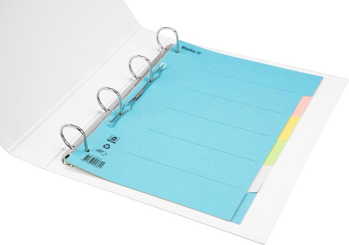 Actual product image Biella Cardboard tab
