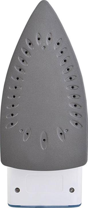 Actual product image ECG Steam (2000 W)