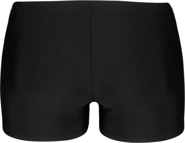 Actual product image Arena M Stripe Swim Short (5)