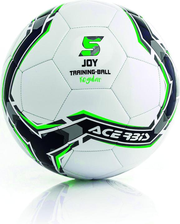 Actual product image Acerbis Joy (4)