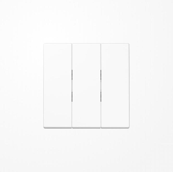 Actual product image JUNG Rocker 3t switch LS aws glz LS993BFWW