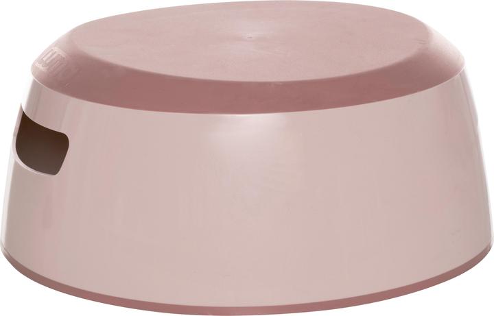 Blossom Pink