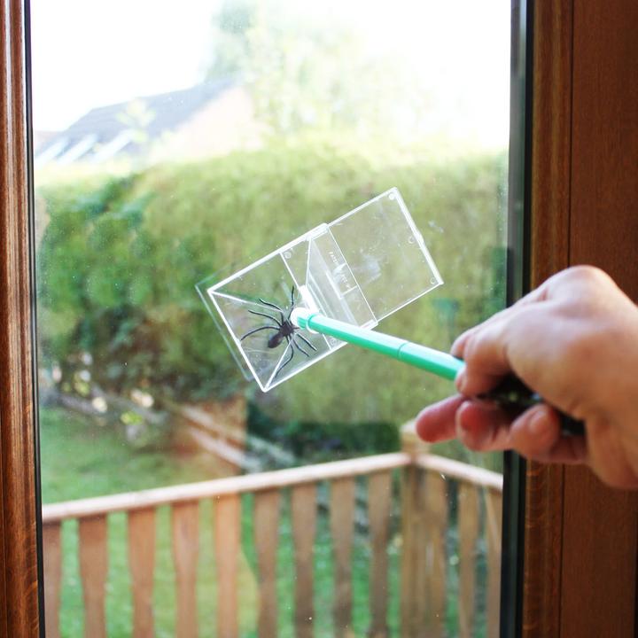Actual product image Katcha Insect catcher