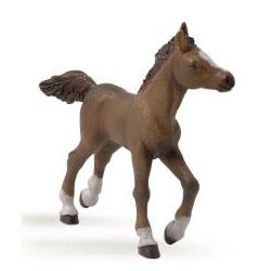 Thumbnail - Papo Anglo-Araber Fohlen
