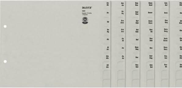 Actual product image Leitz Register paper