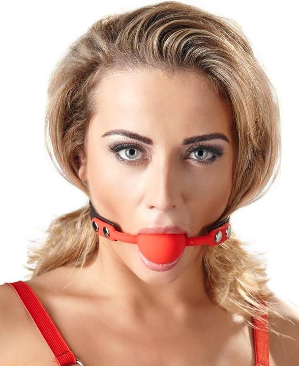 Actual product image Bad Kitty Gag