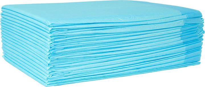 Actual product image Ideoon Trainingspads 600 Stück für Hunde, Welpenunterlage, 5-lagig, auslaufsicher, 60 x 60 cm (Dog)
