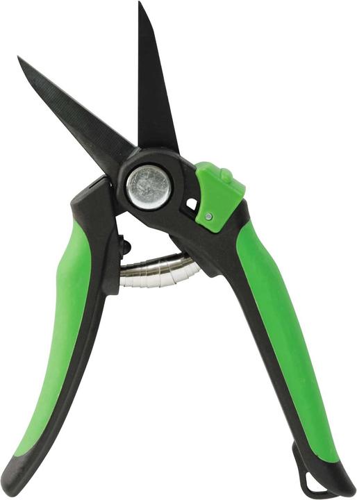 Actual product image Miogarden Flower scissors