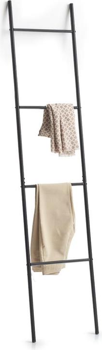 Actual product image Zeller Present towel ladder