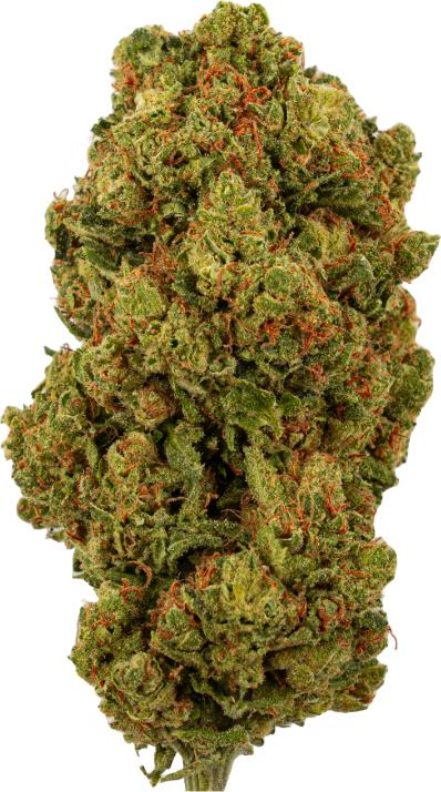 Immagine prodotto Green Passion Amnesia Haze (2 g, Interno)