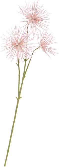 Actual product image Botanic-Haus Giardino