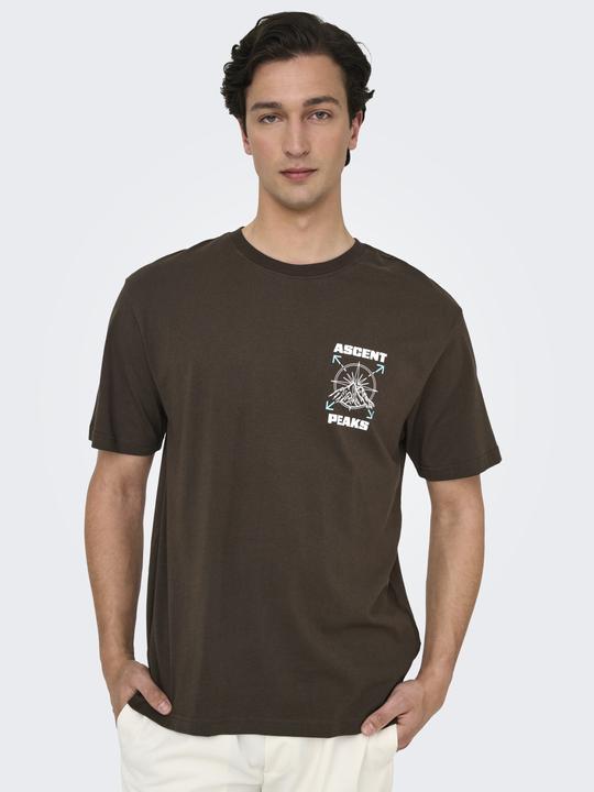 Produktbild Only & Sons Onskeane Rlx Ss Print Tee Noos (M)