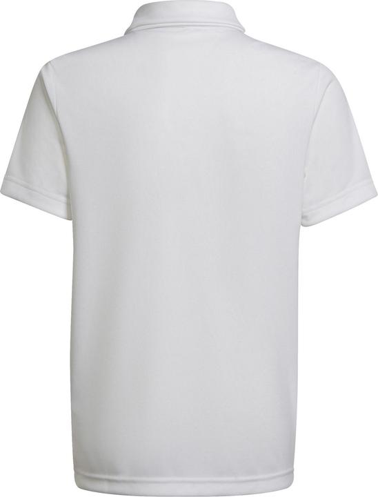 Actual product image adidas Entrada 22 Polo Kids (152)