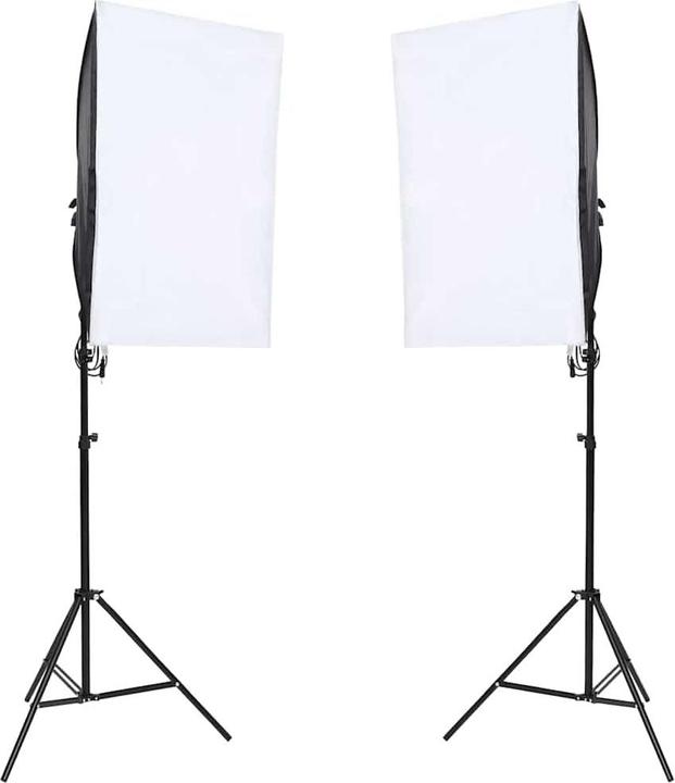 Image du produit vidaXL Fotostudio-Kit (300 cm, 210 cm)