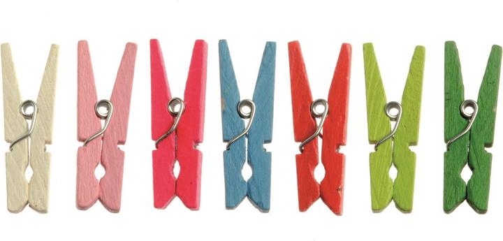Actual product image Glorex Clothespins