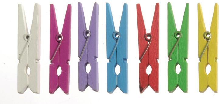 Actual product image Glorex Clothespins