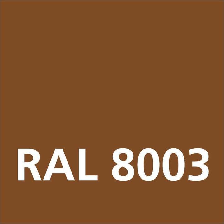 Actual product image Dupli-Color Glossy acrylic paint RAL 8003 clay brown (Clay brown, 0.40 l)