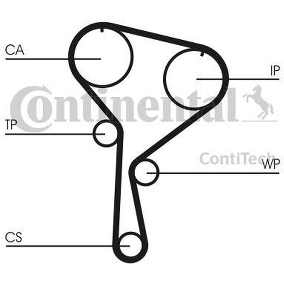 Contitech, Pompa da giardino, Kit Pompa dell'Acqua e Cinghia di Distribuzione