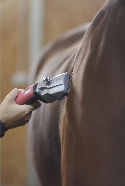 Actual product image Kerbl GT654-BL Bonum Aesculap cordless clipper for horse Including 1 battery, blue, 29.5cm x 7.5 (Vault)