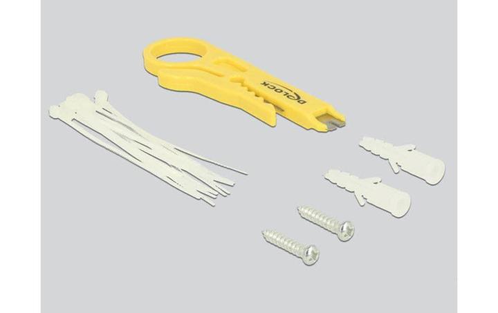 Actual product image Delock 12-port desktop patch panel Cat.6, shielded