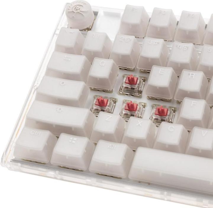 Image du produit Ducky One 3 Aura White TKL Clavier de jeu, RGB LED - MX-Silent-Red (US) (US, Filaire)